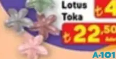 LOTUS TOKA